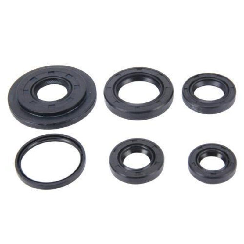 Engine Oil Seal For Tata Indica Diesel