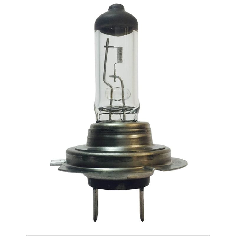 H7 Clear Halogen Px26D 24V 100W