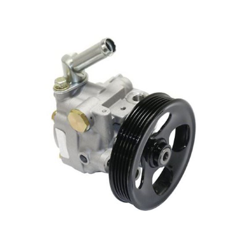 Power Steering Pump Assembly For Mahindra Quanto