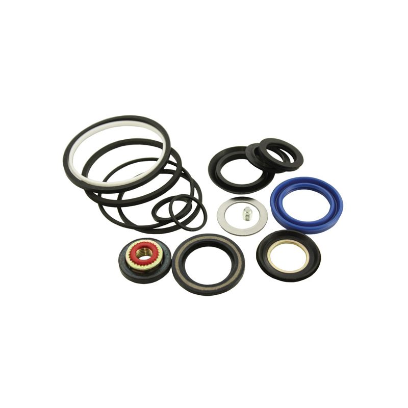 Power Steering Seal Kit For Hyundai Santro Xing (Gold) (Rane Type)