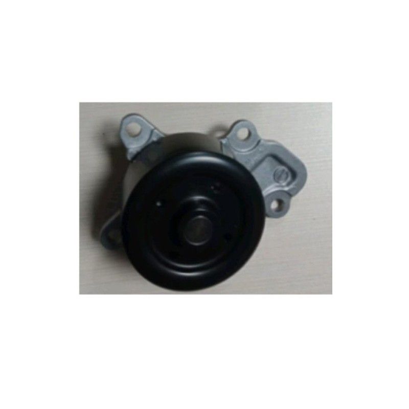 Water Pump Assembly For Toyota Etios Petrol