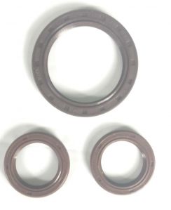 Engine Oil Seal For Chevrolet Beat Petrol