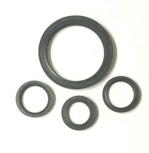 Engine Oil Seal For Ford Ikon 1.3 Petrol (Set Of 4)