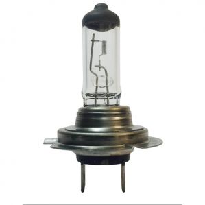 H7 Clear Halogen Lamp Px26D 12V 100W