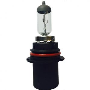 H9 901 Clear Halogen Lamp Pgj19-5 12V 65W (Set Of 2Pcs)