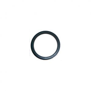 Main Oil Seal For Renault Duster