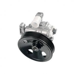 Power Steering Pump Assembly For Mahindra Maxi Truck