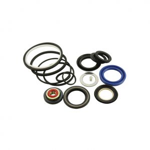 Power Steering Seal Kit For Hyundai Santro (Gold) (Mando Type)