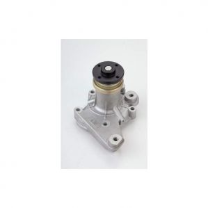 Water Pump Assembly For Maruti 1000 Petrol